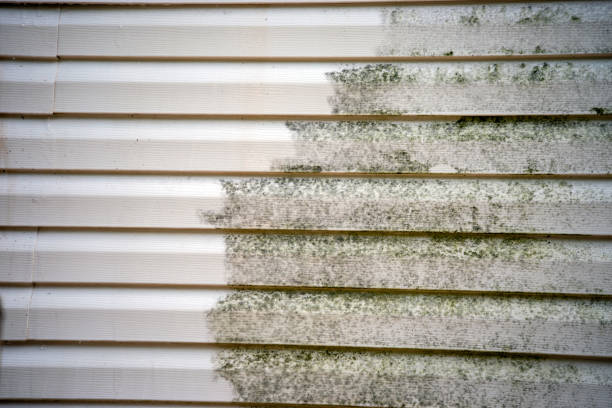 Best Carpet Removal and Disposal  in Averill Park, NY